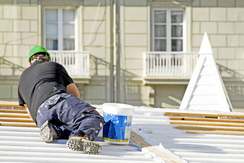 roof painting services