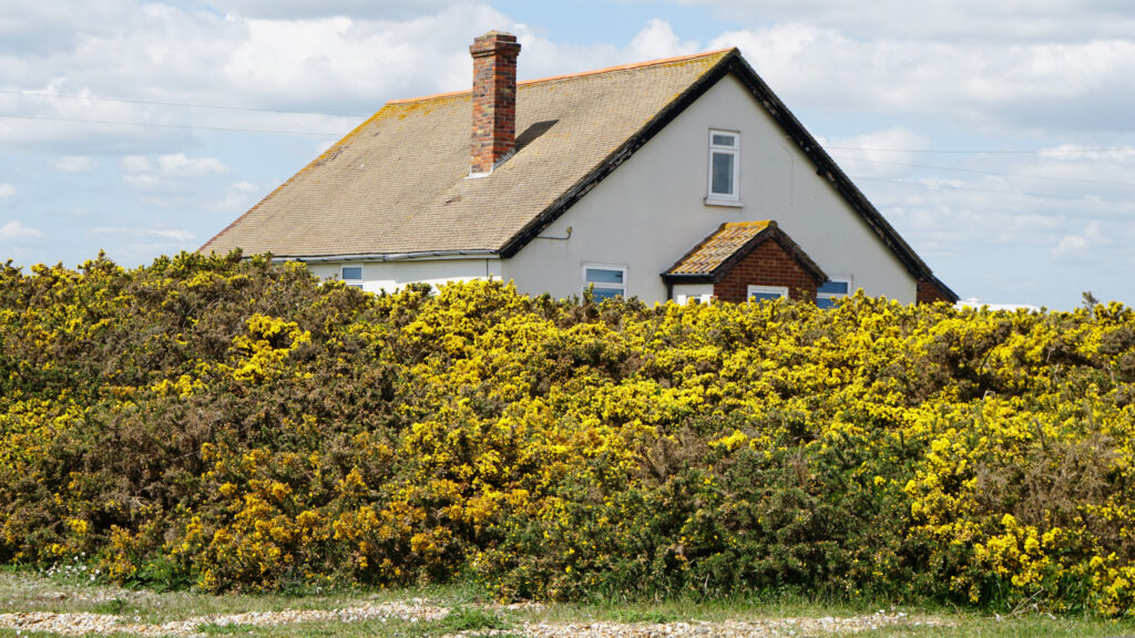 chimney repair and rebuild services