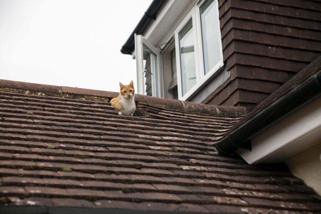 Leaky Chimneys