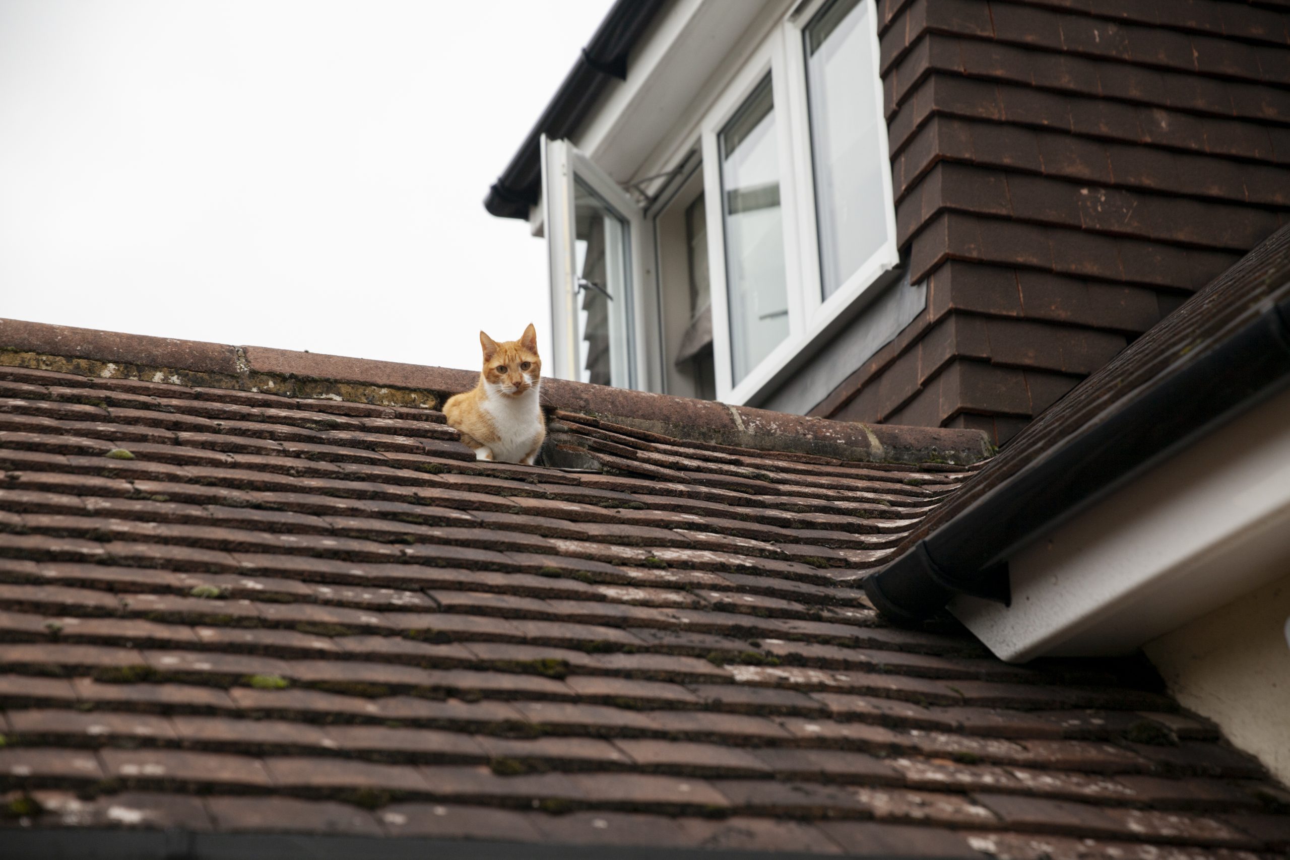 Leaky Chimneys