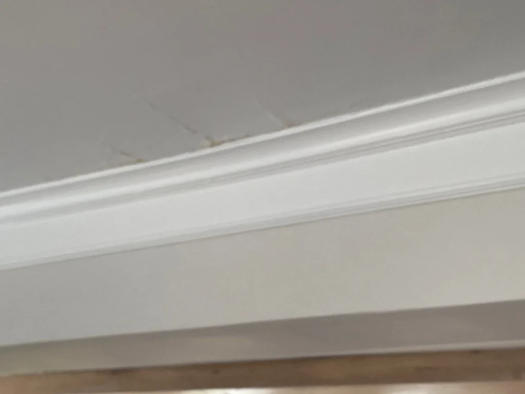 Emegency Repair Image 3-converted-from-jpg