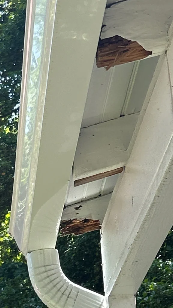 Gutters Image 3-converted-from-jpg