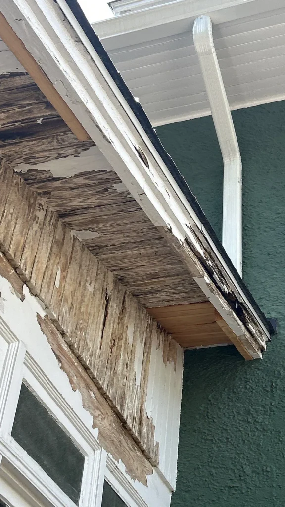 Gutters Image 4-converted-from-jpg